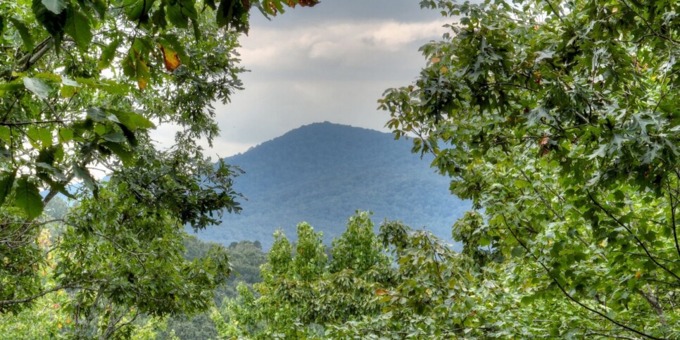 Blue Ridge Cabin - Mamas Bear Hideaway - Exterior