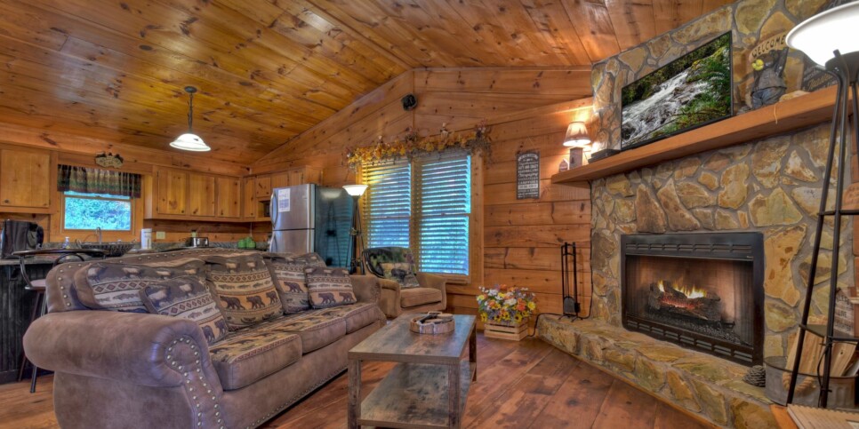 Blue Ridge Cabin - Mamas Bear Hideaway - Living