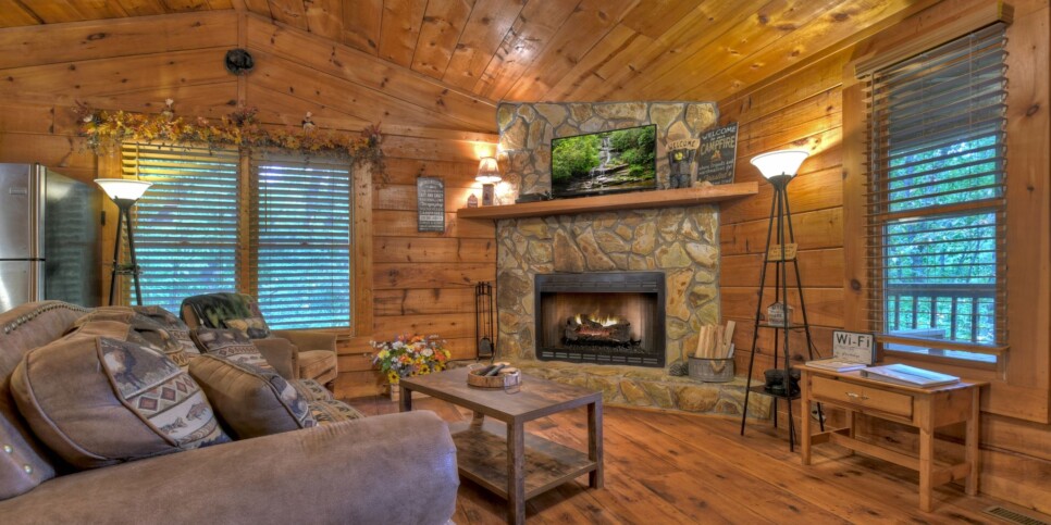 Blue Ridge Cabin - Mamas Bear Hideaway - Living