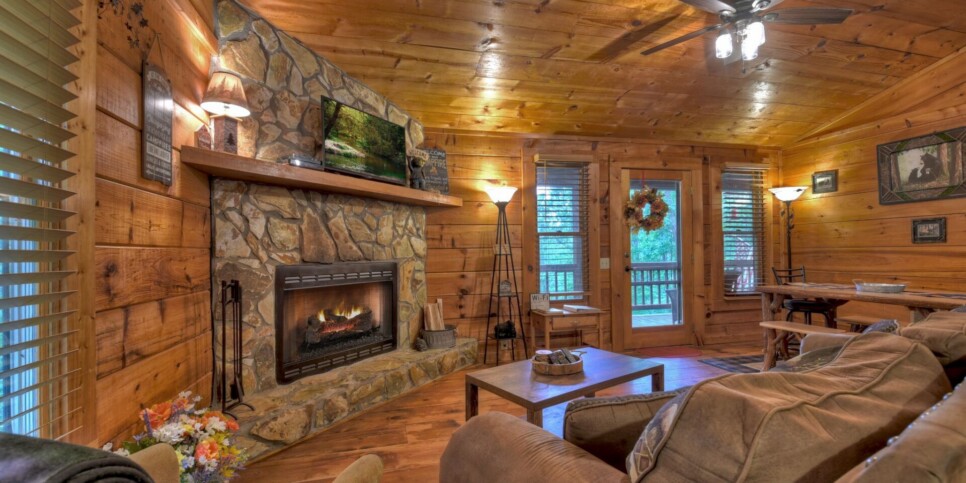 Blue Ridge Cabin - Mamas Bear Hideaway - Living