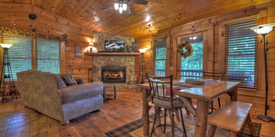 Blue Ridge Cabin - Mamas Bear Hideaway - Living