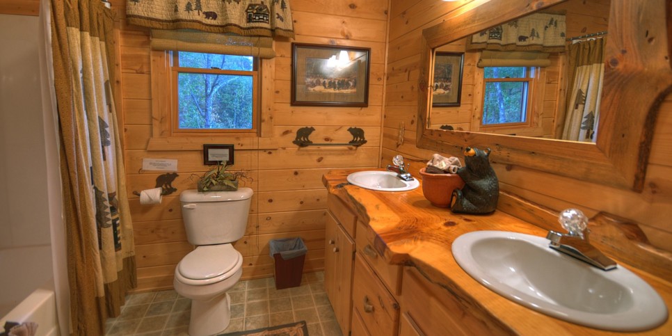 Blue Ridge Cabin - The View - Bathroom