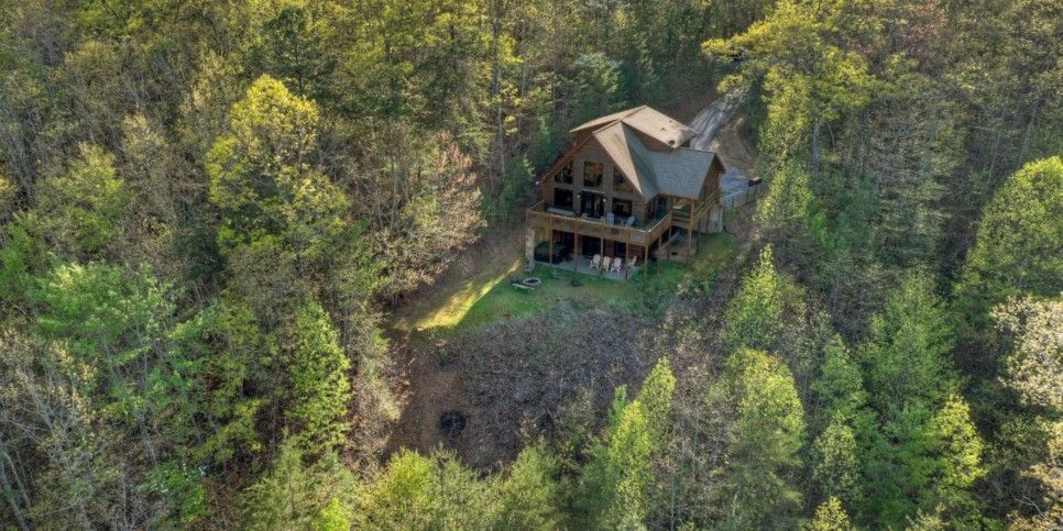 Blue Ridge Cabin - The View - Exterior