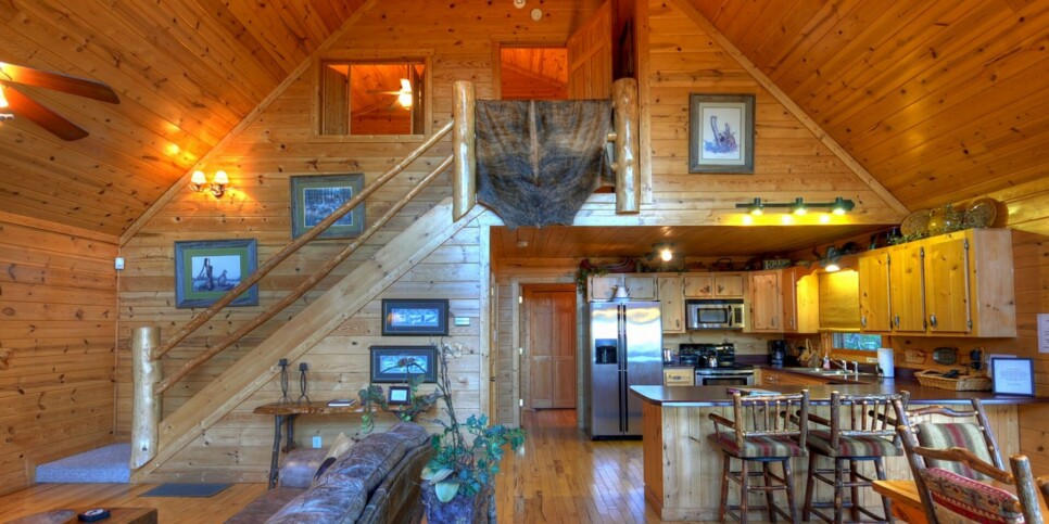 Blue Ridge Cabin - The View - Living