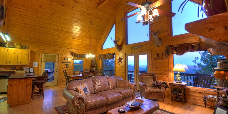 Blue Ridge Cabin - The View - Living