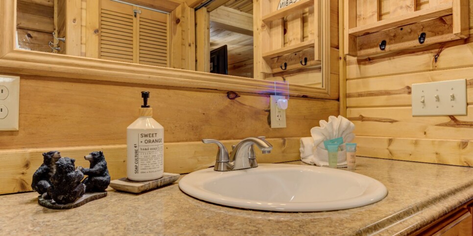 Blue Ridge - Four Seasons - Bathroom