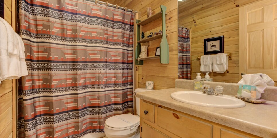 Blue Ridge - Four Seasons - Bathroom