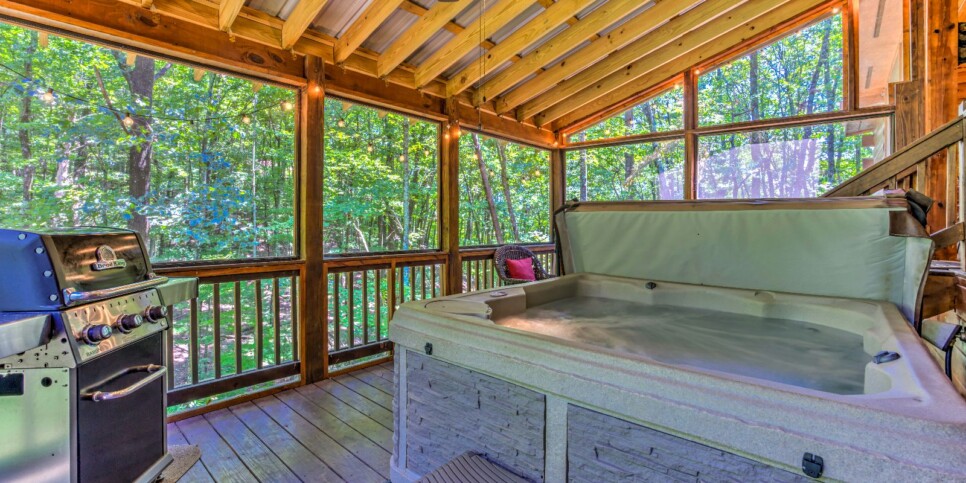 Blue Ridge - Four Seasons - Exterior