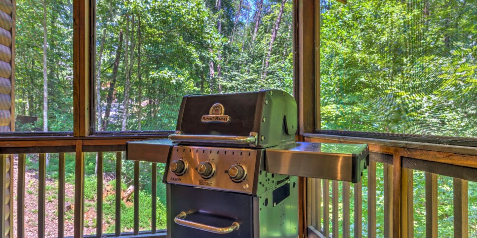 Blue Ridge - Four Seasons - Exterior