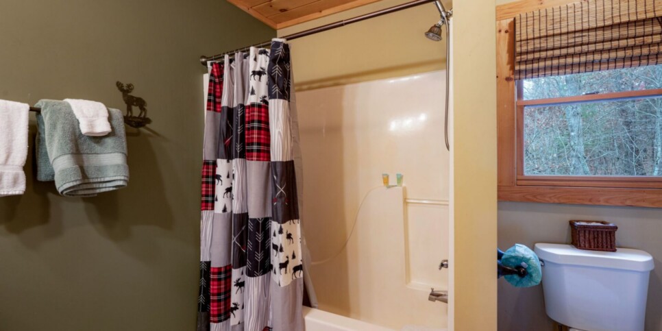 Blue Ridge - Mountain Therapy - Bathroom