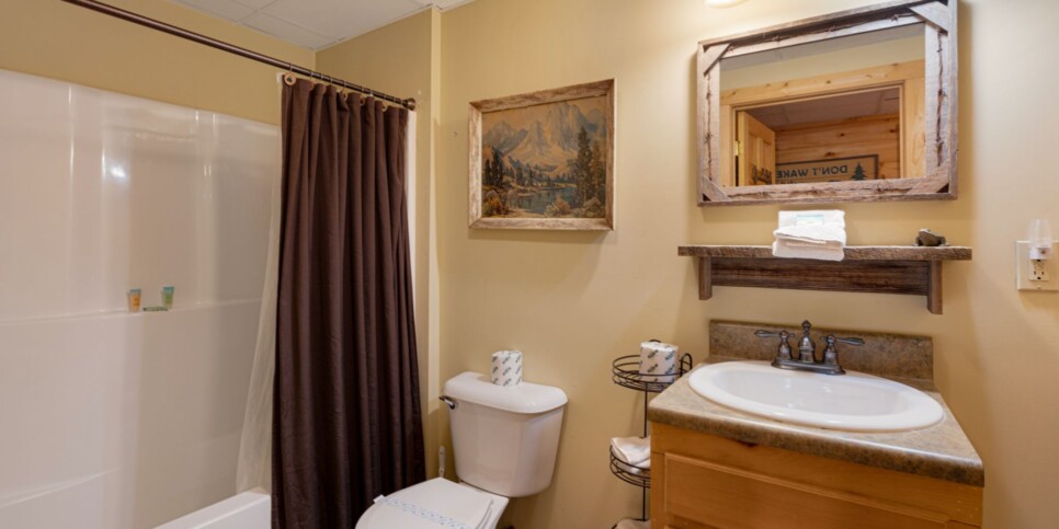 Blue Ridge - Mountain Therapy - Bathroom