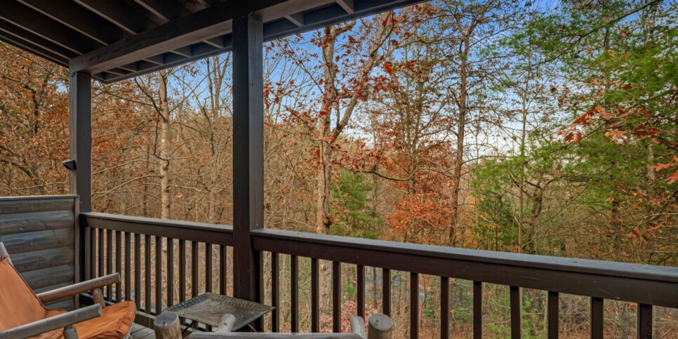 Blue Ridge - Mountain Therapy - Exterior