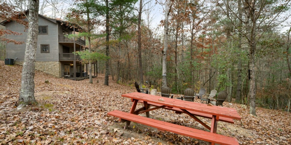 Blue Ridge - Mountain Therapy - Exterior