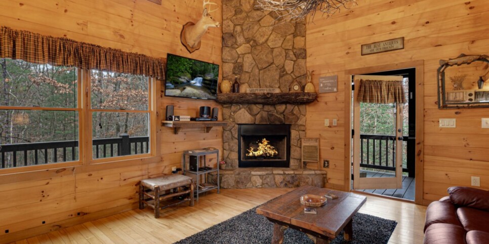 Blue Ridge - Mountain Therapy - Living Room