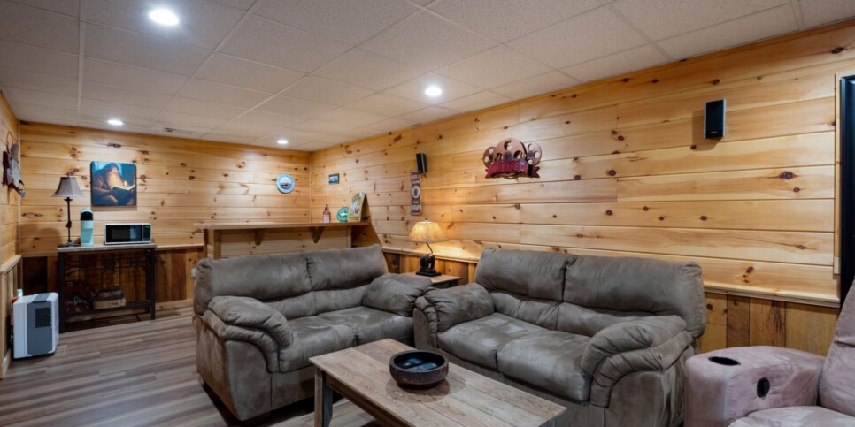 Blue Ridge - Mountain Therapy - Living Room