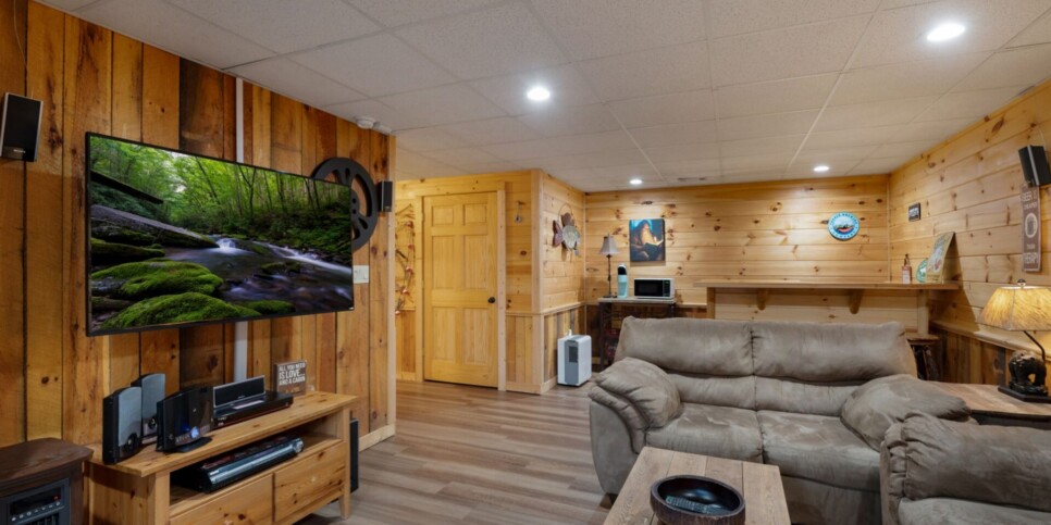 Blue Ridge - Mountain Therapy - Living Room