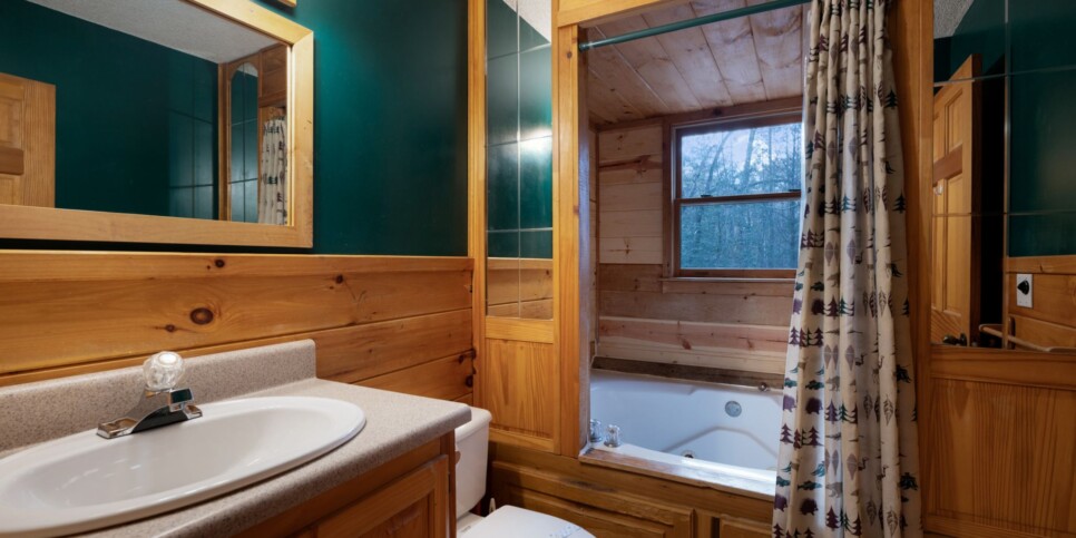 Blue Ridge - Peaceful Living - Bathroom
