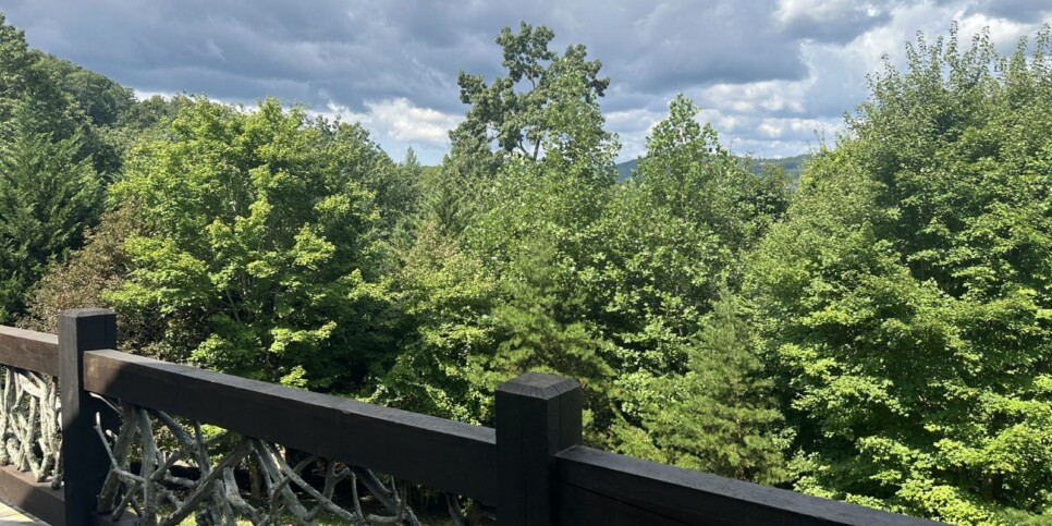 Blue Ridge View-Topia Exterior