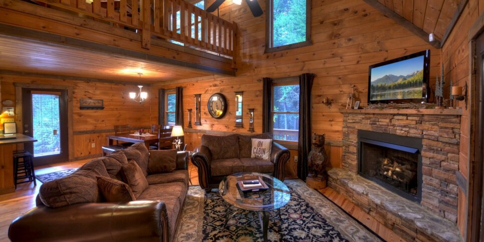 Blue Ridge Cabin - Castle Creek - Living Room