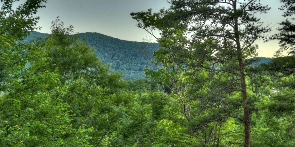 eagles-landing-gacfy-exterior-4