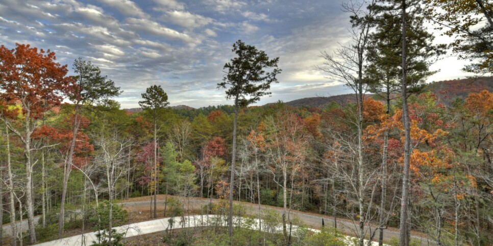 georgia-a-starry-night-exterior-23