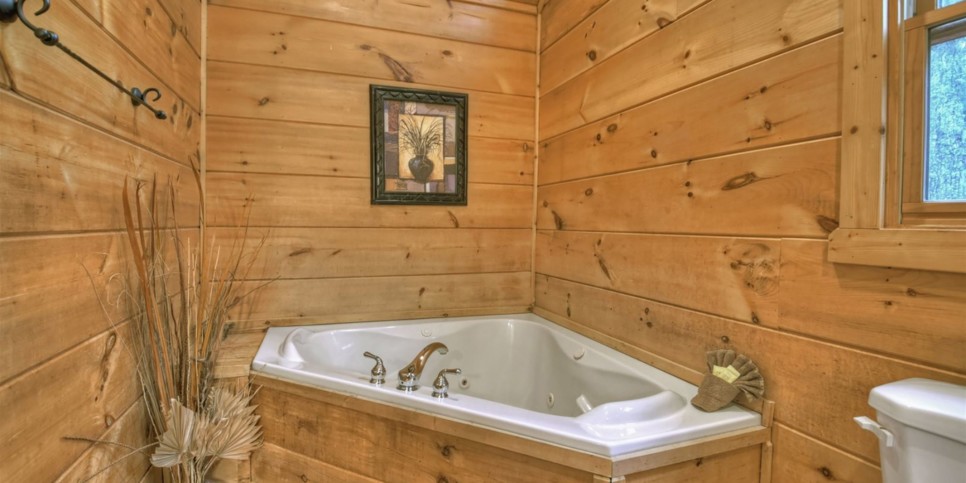 Mineral Bluff Cabin - Almost Heaven - Bathroom