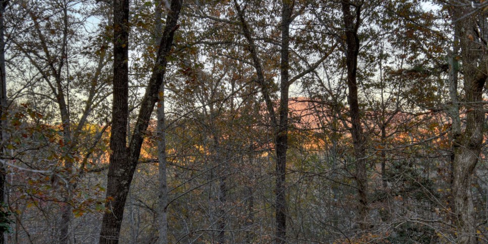 Mineral Bluff - Annie's Mountain Mist - Exterior