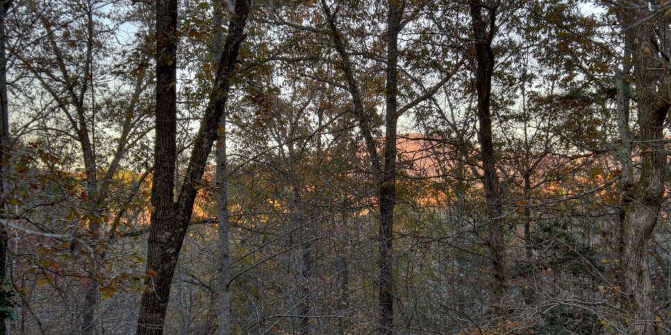 Mineral Bluff - Annie's Mountain Mist - Exterior