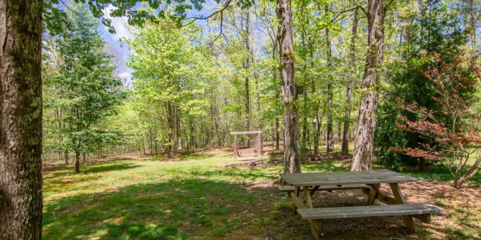 Mineral Bluff - Annie's Mountain Mist - Exterior