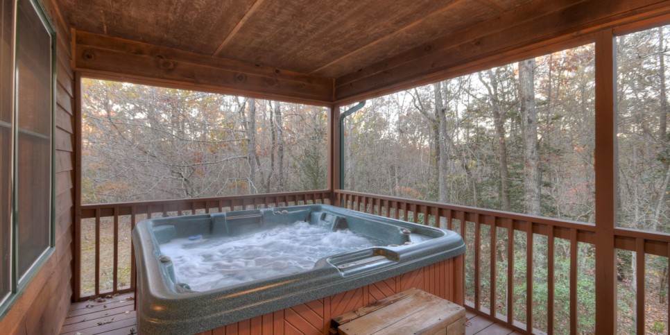 Mineral Bluff - Annie's Mountain Mist - Exterior