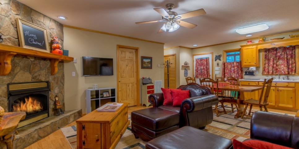 Mineral Bluff - Annie's Mountain Mist - Living Room