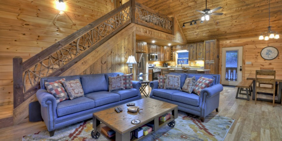 Mineral Bluff - S'mores Cabin - Living Room
