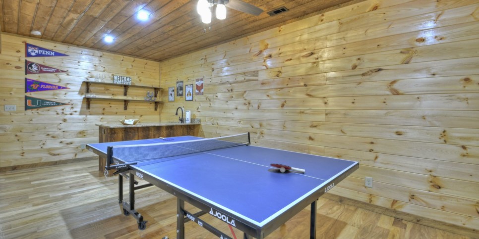 Mineral Bluff - S'mores Cabin - Rec Room