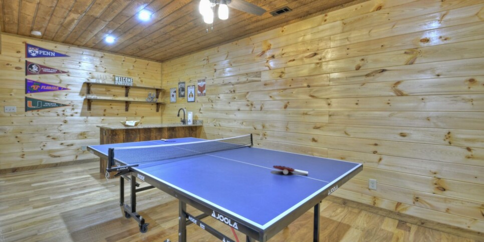 Mineral Bluff - S'mores Cabin - Rec Room