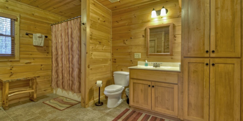 Mineral Bluff - Sweet Seclusion - Bathroom
