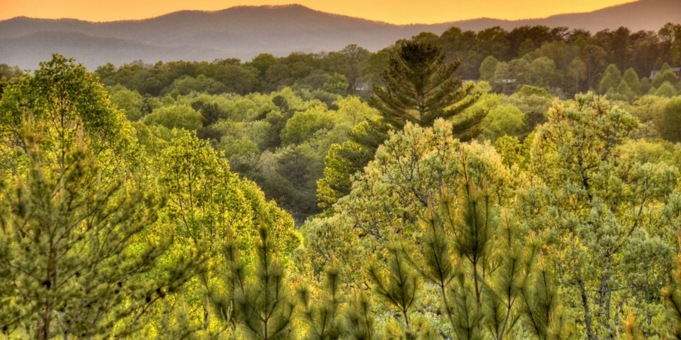 Mineral Bluff - Sweet Seclusion - Exterior