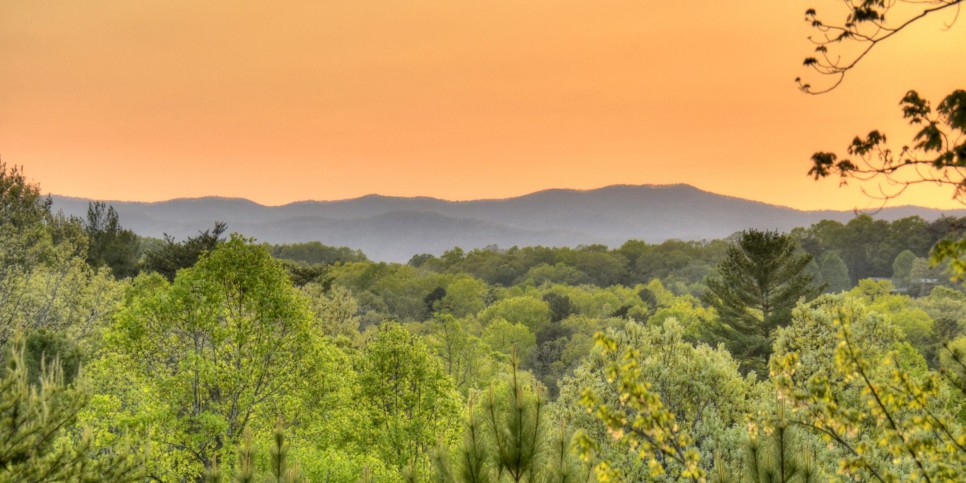 Mineral Bluff - Sweet Seclusion - Exterior