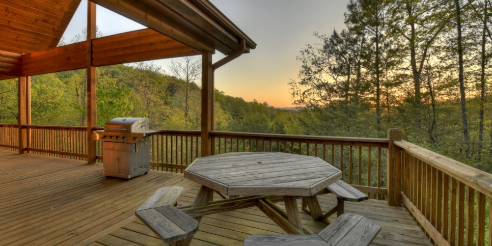 Mineral Bluff - Sweet Seclusion - Exterior