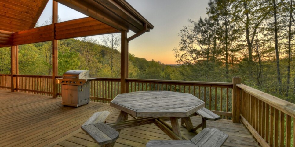 Mineral Bluff - Sweet Seclusion - Exterior