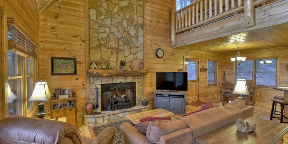 Mineral Bluff - Sweet Seclusion - Living Room