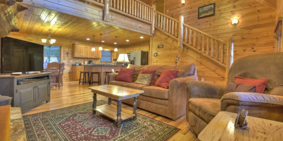 Mineral Bluff - Sweet Seclusion - Living Room