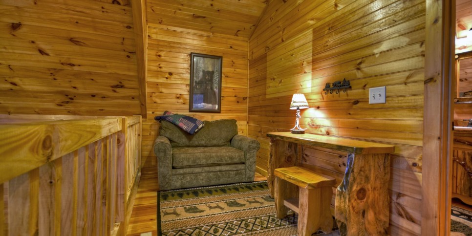 Morganton Cabin - Cardinal's Crossing - Living