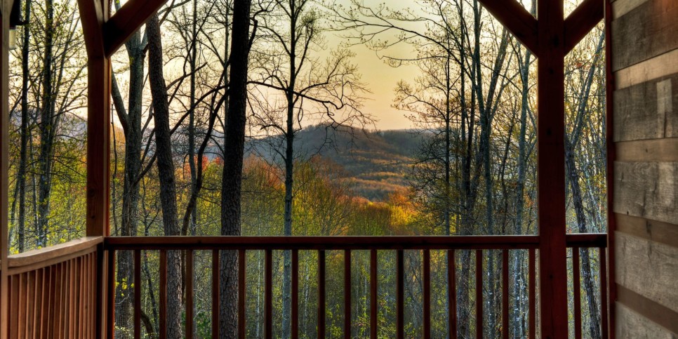Morganton Cabin - Cardinal's Crossing - Exterior