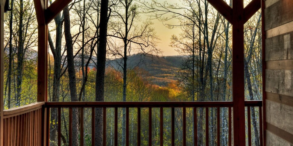 Morganton Cabin - Cardinal's Crossing - Exterior