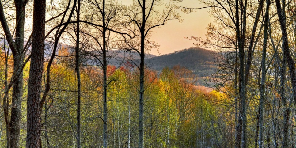 Morganton Cabin - Cardinal's Crossing - Exterior