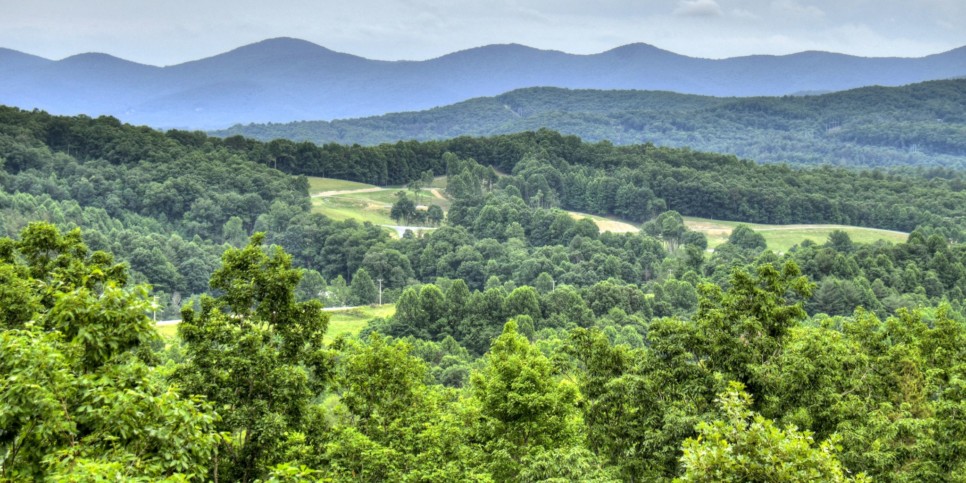 Morganton - Honey Hill - Exterior