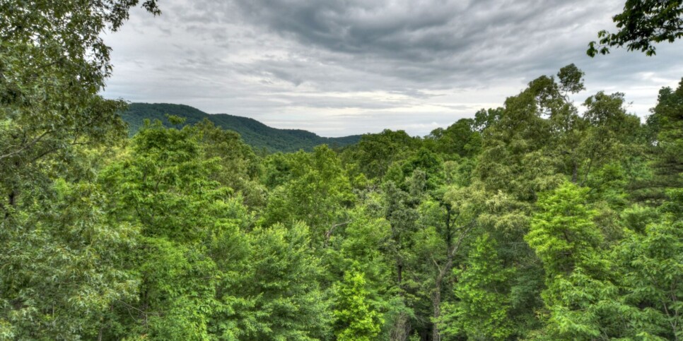pursuit-of-happiness-georgia-exterior-5