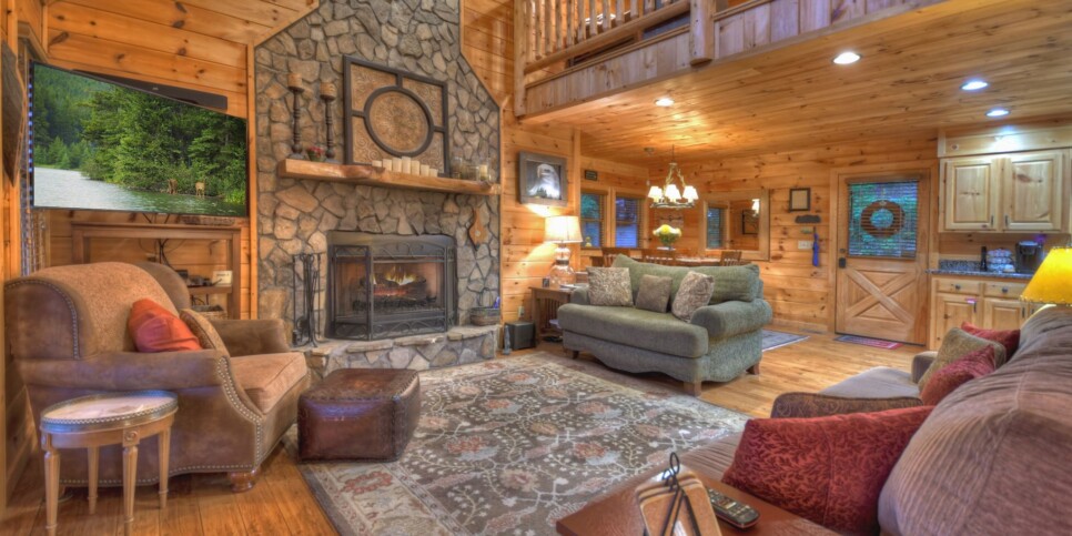 Blue Ridge Cabin - Pursuit of Happiness - Living Room