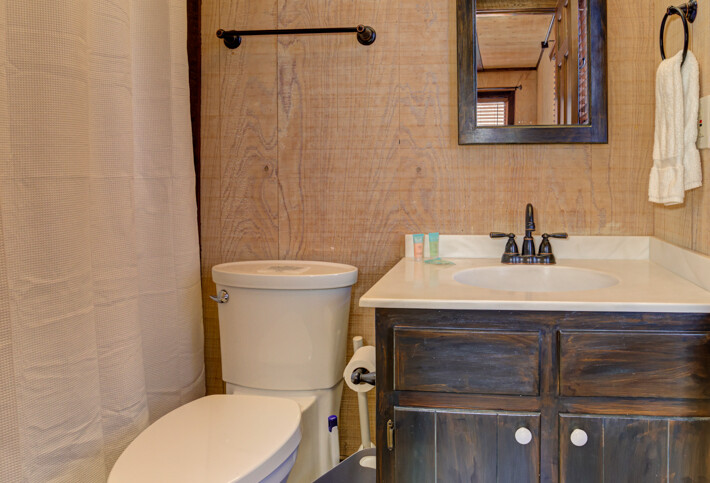 Big Canoe Reel Bliss Cabin Bathroom