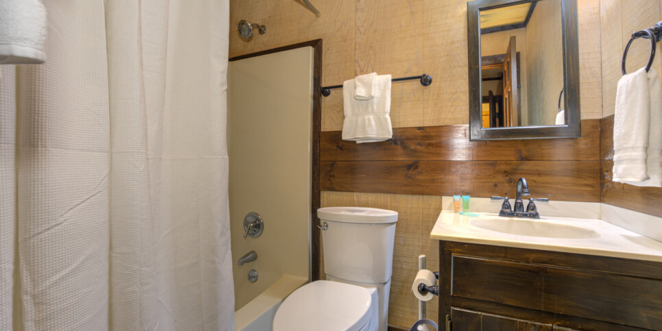 Big Canoe Reel Bliss Cabin Bathroom